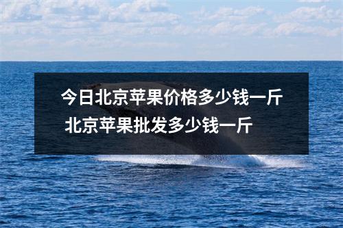 今日北京苹果价格多少钱一斤 北京苹果批发多少钱一斤