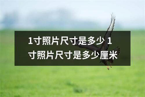 1寸照片尺寸是多少 1寸照片尺寸是多少厘米
