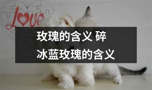 玫瑰的含义 碎冰蓝玫瑰的含义