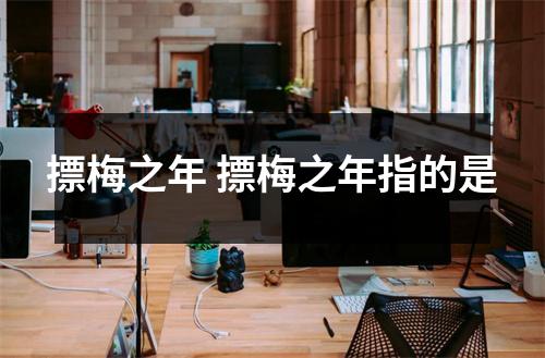 摽梅之年 摽梅之年指的是