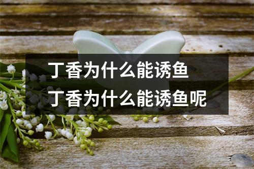 丁香为什么能诱鱼 丁香为什么能诱鱼呢