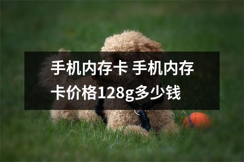 手机内存卡 手机内存卡价格128g多少钱