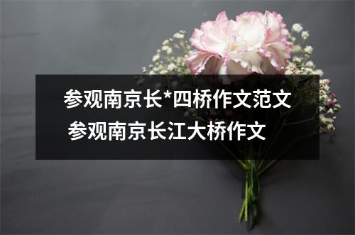 参观南京长*四桥作文范文 参观南京长江大桥作文