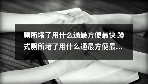 厕所堵了用什么通最方便最快 蹲式厕所堵了用什么通最方便最快