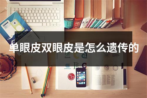 单眼皮双眼皮是怎么遗传的