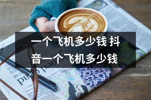 一个飞机多少钱 抖音一个飞机多少钱 一个飞机多少钱 抖音一个飞机多少钱