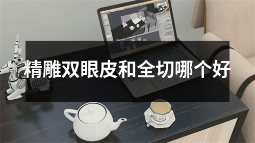 精雕双眼皮和全切哪个好