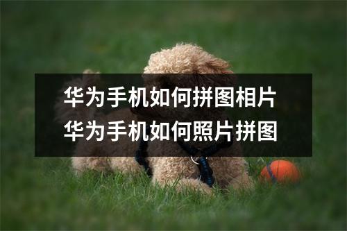 华为手机如何拼图相片 华为手机如何照片拼图