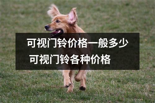 可视门铃价格一般多少 可视门铃各种价格