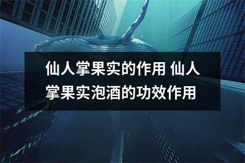 仙人掌果实的作用 仙人掌果实泡酒的功效作用