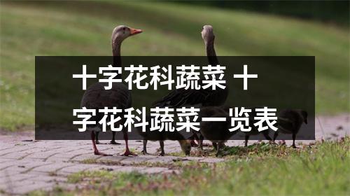 十字花科蔬菜 十字花科蔬菜一览表