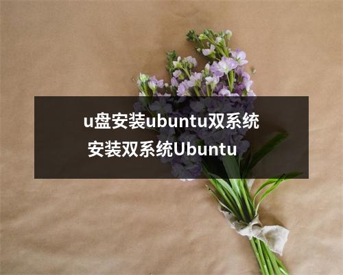 u盘安装ubuntu双系统 安装双系统Ubuntu u盘安装ubuntu双系统 安装双系统Ubuntu