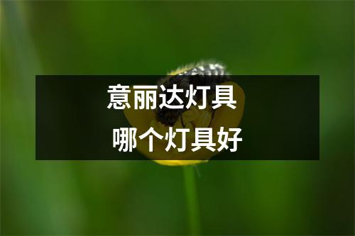 意丽达灯具 哪个灯具好 意丽达灯具 哪个灯具好