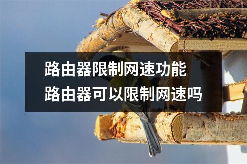 路由器限制网速功能 路由器可以限制网速吗