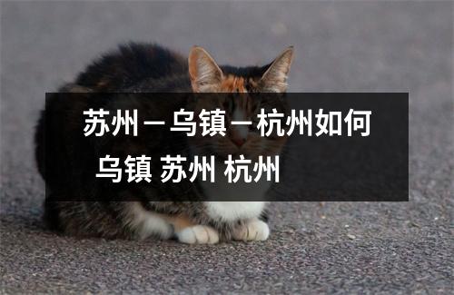 苏州－乌镇－杭州如何  乌镇 苏州 杭州