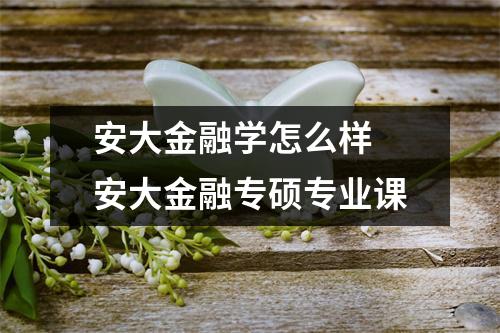 安大金融学怎么样 安大金融专硕专业课