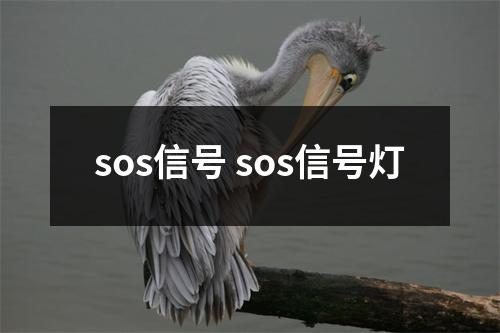 sos信号 sos信号灯 sos信号 sos信号灯