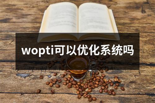 wopti可以优化系统吗