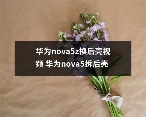 华为nova5z换后壳视频 华为nova5拆后壳
