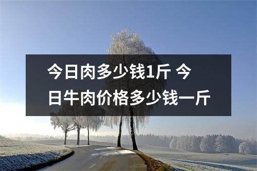 今日肉多少钱1斤 今日牛肉价格多少钱一斤