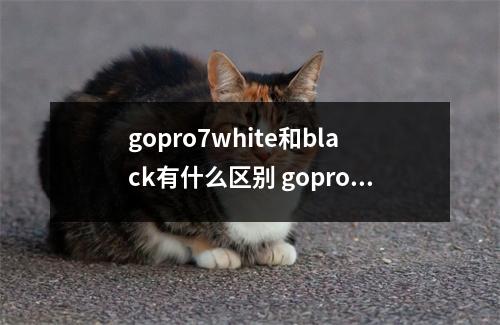 gopro7white和black有什么区别 gopro hero7 white black区别