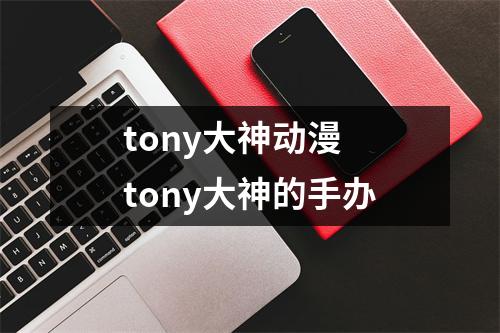 tony大神动漫 tony大神的手办