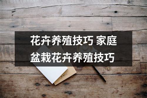 花卉养殖技巧 家庭盆栽花卉养殖技巧