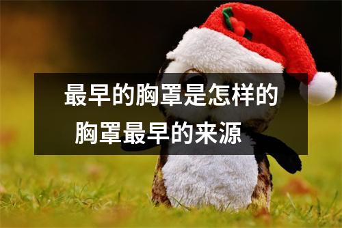 最早的胸罩是怎样的  胸罩最早的来源