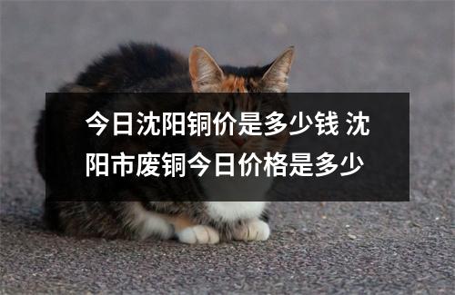 今日沈阳铜价是多少钱 沈阳市废铜今日价格是多少