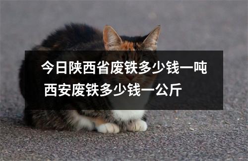 今日陕西省废铁多少钱一吨 西安废铁多少钱一公斤