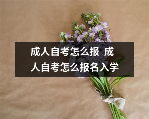 成人自考怎么报  成人自考怎么报名入学
