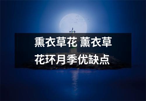 熏衣草花 薰衣草花环月季优缺点 熏衣草花 薰衣草花环月季优缺点