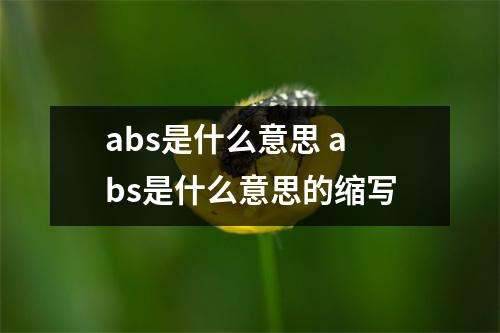 abs是什么意思 abs是什么意思的缩写 abs是什么意思 abs是什么意思的缩写