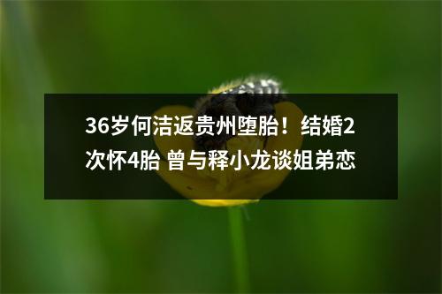 36岁何洁返贵州堕胎！结婚2次怀4胎 曾与释小龙谈姐弟恋