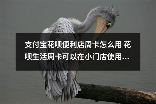 支付宝花呗便利店周卡怎么用 花呗生活周卡可以在小门店使用吗