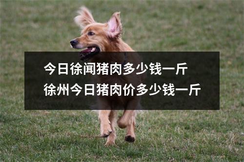今日徐闻猪肉多少钱一斤 徐州今日猪肉价多少钱一斤