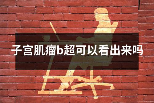 子宫肌瘤b超可以看出来吗