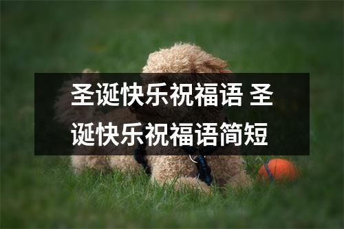 圣诞快乐祝福语 圣诞快乐祝福语简短 圣诞快乐祝福语 圣诞快乐祝福语简短