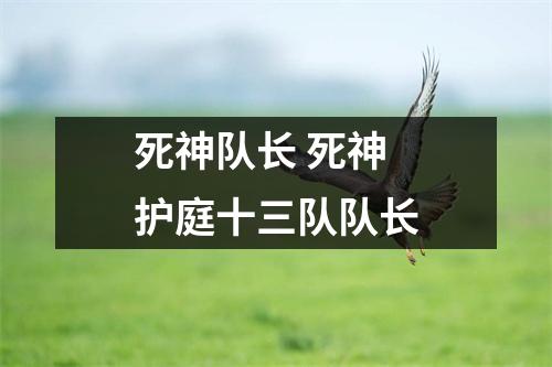 死神队长 死神护庭十三队队长