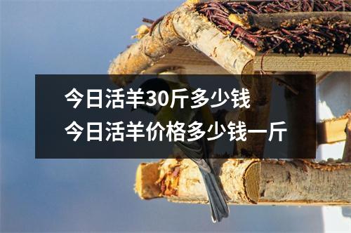 今日活羊30斤多少钱 今日活羊价格多少钱一斤