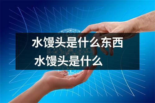 水馒头是什么东西 水馒头是什么 水馒头是什么东西 水馒头是什么