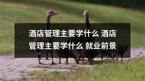 酒店管理主要学什么 酒店管理主要学什么 就业前景