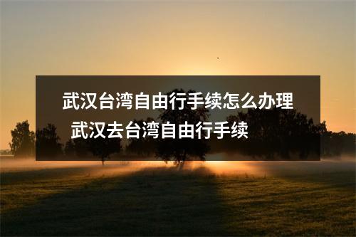 武汉台湾自由行手续怎么办理 武汉去台湾自由行手续 武汉台湾自由行手续怎么办理 武汉去台湾自由行手续