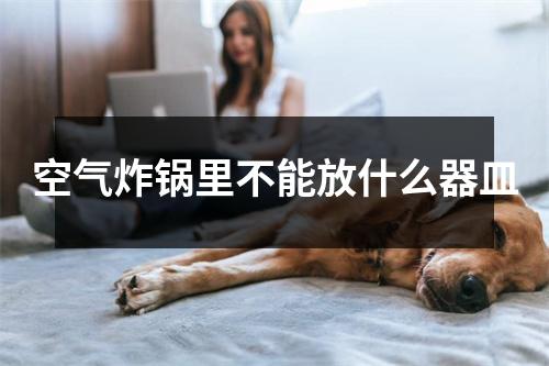 空气炸锅里不能放什么器皿