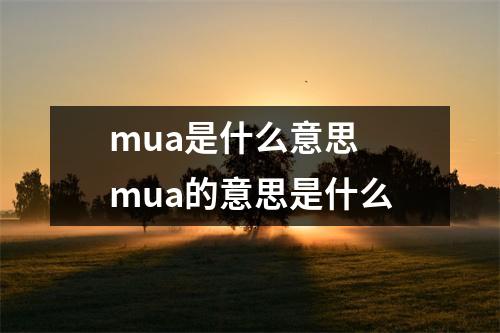mua是什么意思 mua的意思是什么