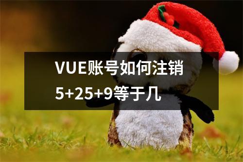 VUE账号如何注销 5+25+9等于几 VUE账号如何注销 5+25+9等于几