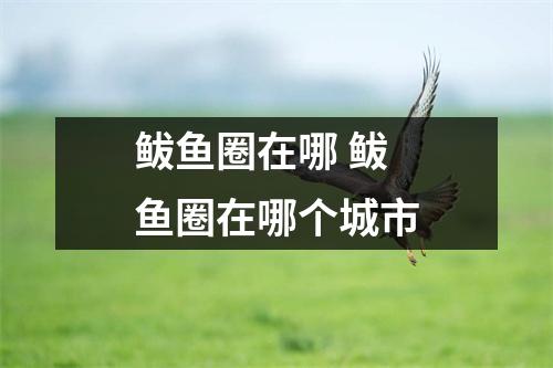 鲅鱼圈在哪 鲅鱼圈在哪个城市