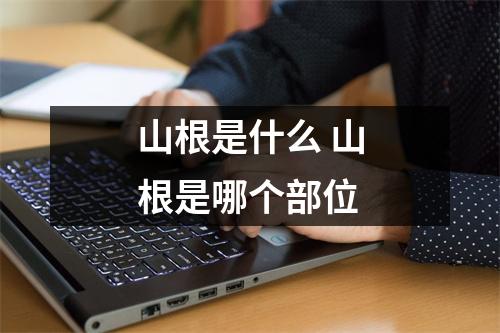 山根是什么 山根是哪个部位 山根是什么 山根是哪个部位