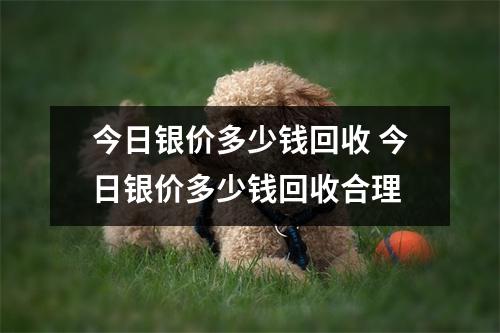 今日银价多少钱回收 今日银价多少钱回收合理