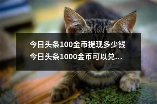 今日头条100金币提现多少钱 今日头条1000金币可以兑换多少钱 今日头条100金币提现多少钱 今日头条1000金币可以兑换多少钱